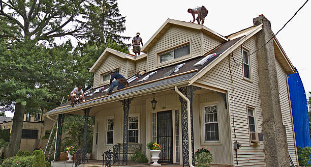 Professional Roofing Contractor in Hahnville, LA