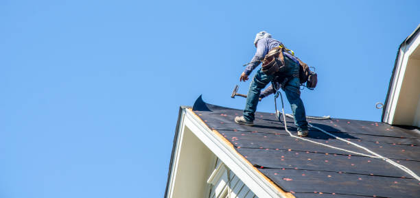 Best Shingle Roofing Installation  in Hahnville, LA
